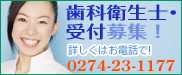 スタッフ募集