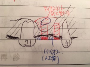 イメージ画像